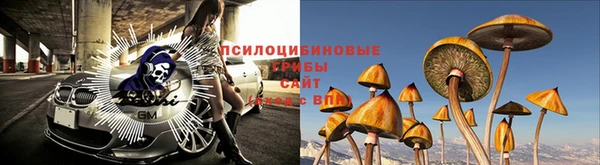 МДПВ Белоозёрский