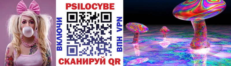 Псилоцибиновые грибы мицелий  Болохово 